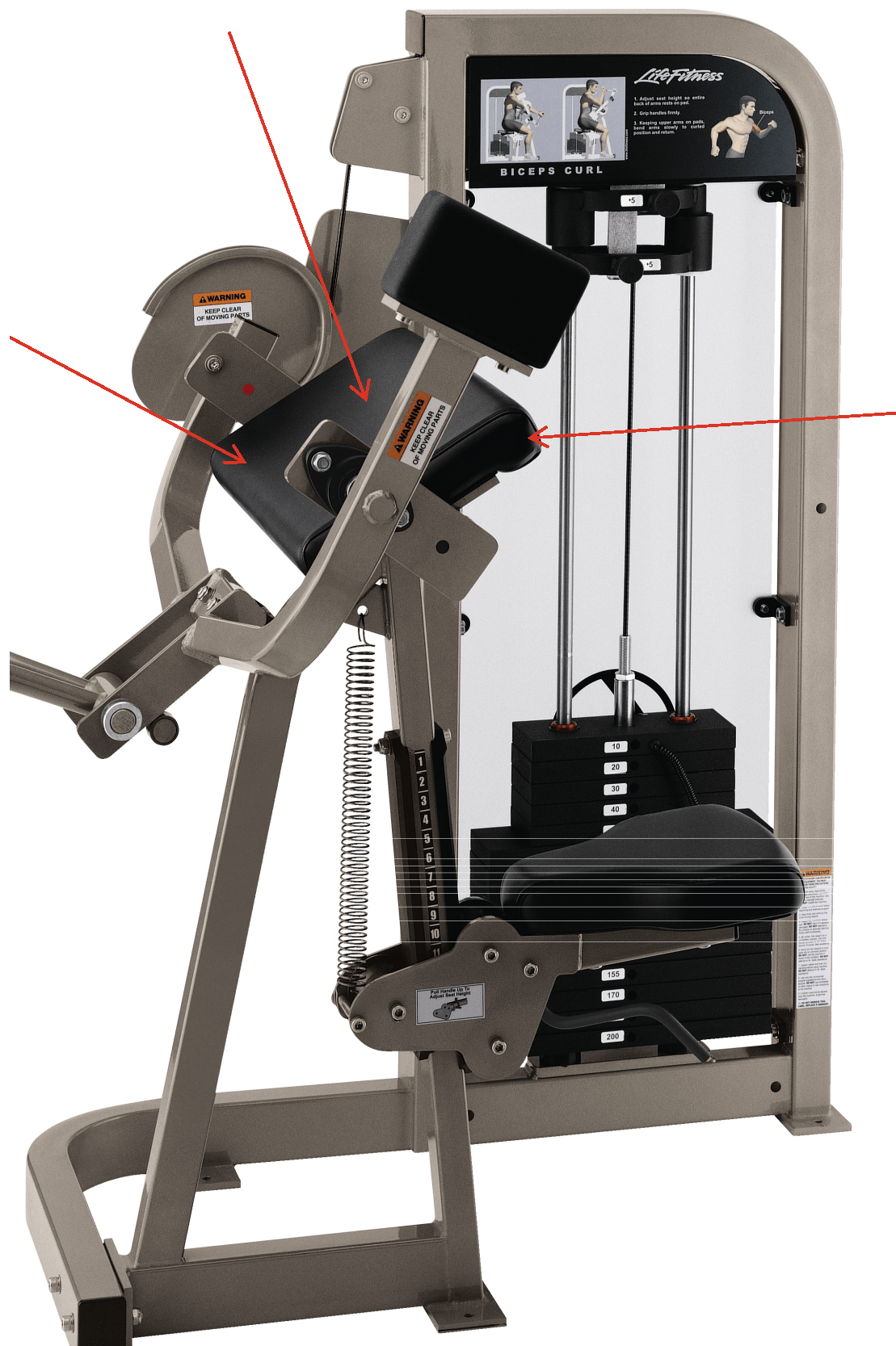 Re-upholstered Pro 2 Series Biceps Curl (PSBCSE)